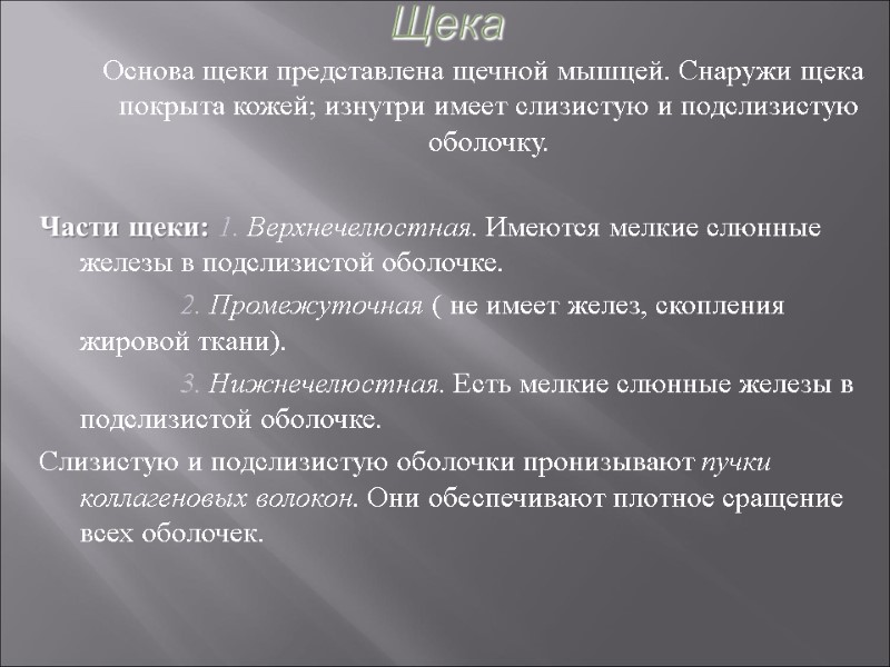 Щека     Основа щеки представлена щечной мышцей. Снаружи щека покрыта кожей;